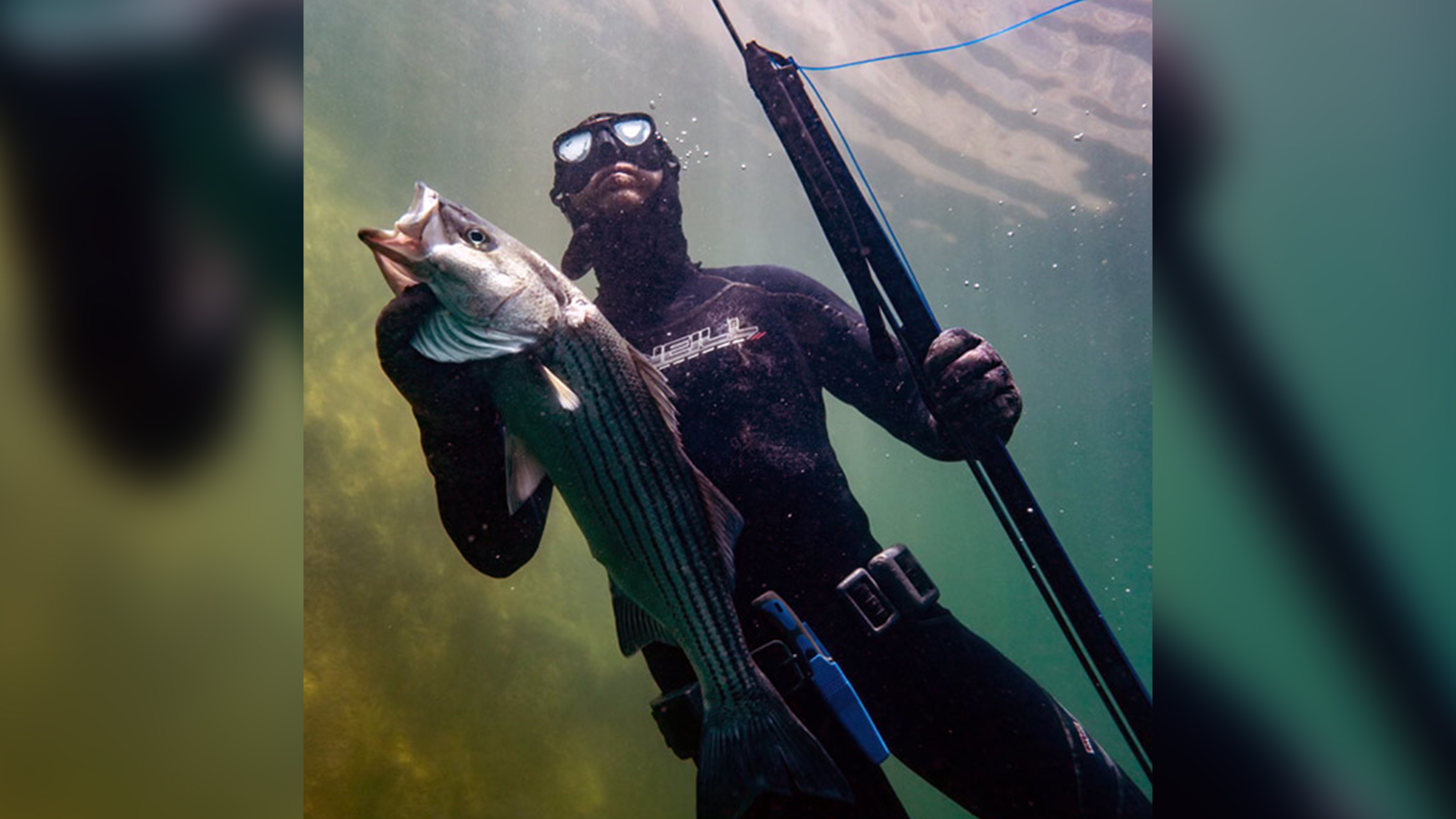 A spear angler holds a 27¼-inch long striped bass caught at Lake Powell in 2022. Utah wildlife officials say proposed new fishing rule changes will allow for spearfishing to grow in the state.