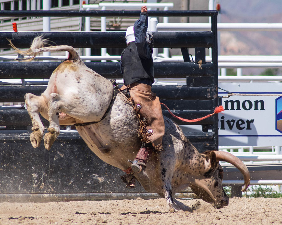 Steven Francis is an 11-year-old bull rider. He will be competing at the 2023 International Miniature Bull Riding Championship in Ogden on Sept. 6-9.