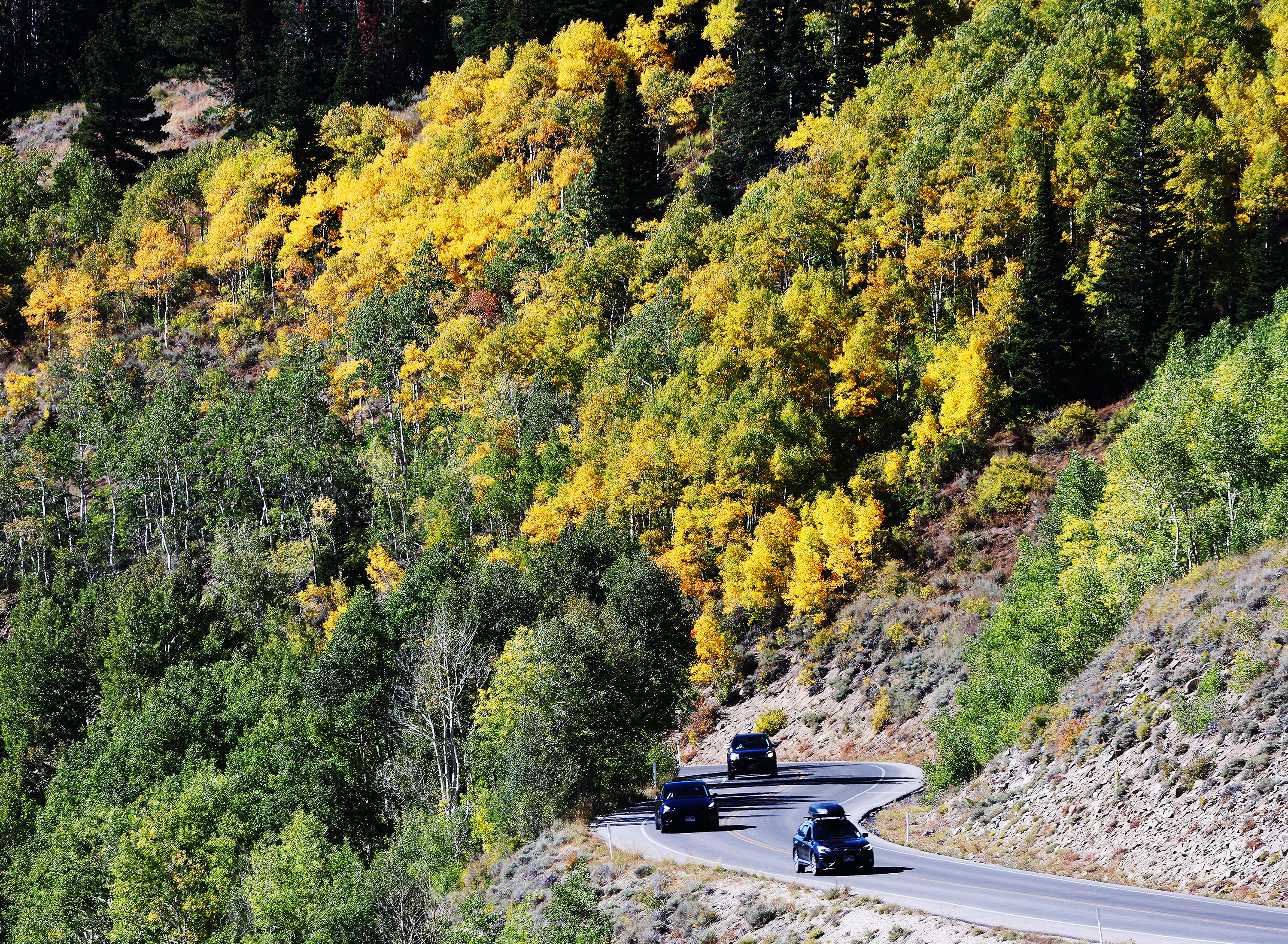 Changing fall leaves on Guardsman Pass in Big Cottonwood Canyon Sept. 27, 2022. Meteorological fall begins Sept. 1, but it's uncertain if it will be a wet, dry or near normal season in Utah.