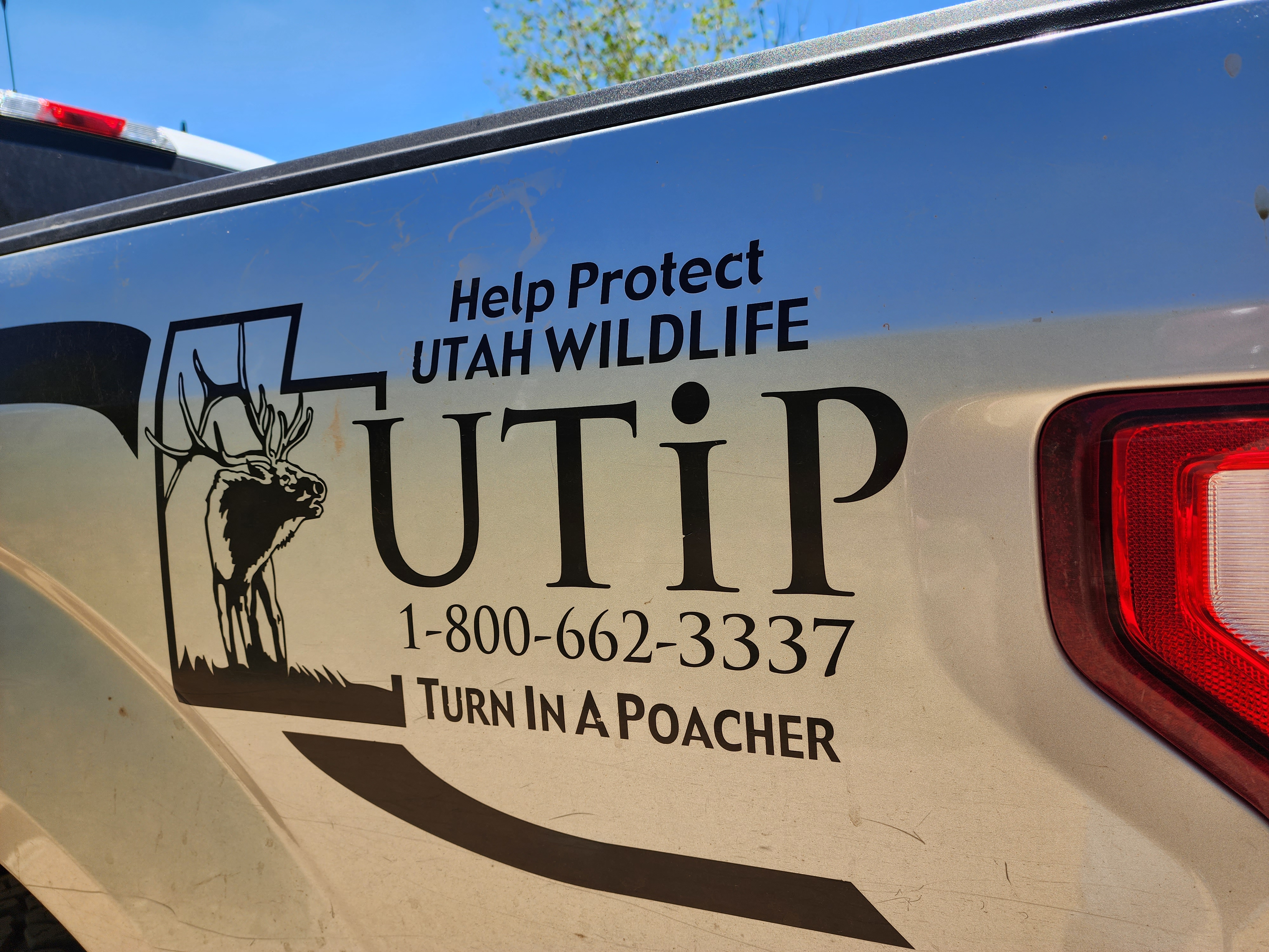 The Utah Division of Wildlife Resources relies on the public to report any violations of the state's fishing, hunting and trapping regulations.