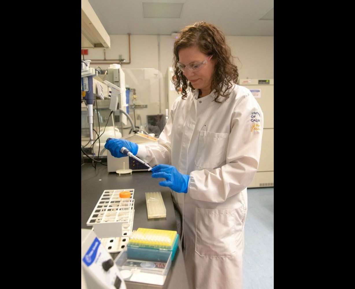 La généticienne Karen Mega dans un laboratoire utilisé pour la recherche liée au chromosome Y humain, à l'Université de Californie, Santa Cruz, Californie, le 10 février 2022.