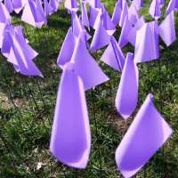 Advocates thank lethality-assessment law for increase in calls