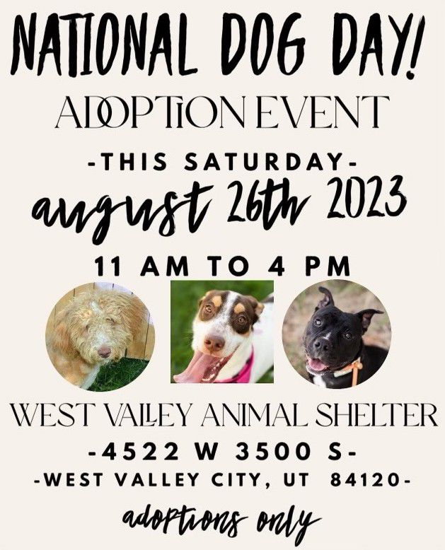 West Valley City Animal Services operates a municipal no-kill shelter that serves residents in both West Valley City and Taylorsville, Utah.