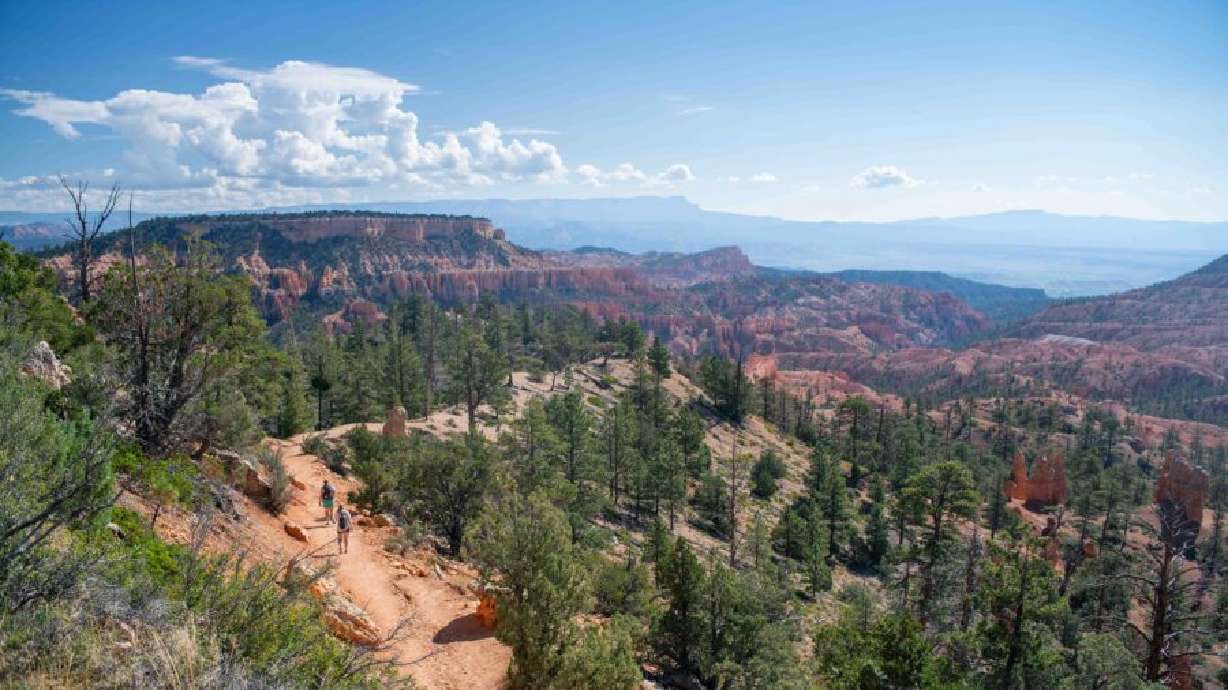 Fairyland Loop is pictured in Bryce Canyon National Park. Bryce Canyon search and rescue teams found a missing 64-year-old woman dead after searching for her for several hours.