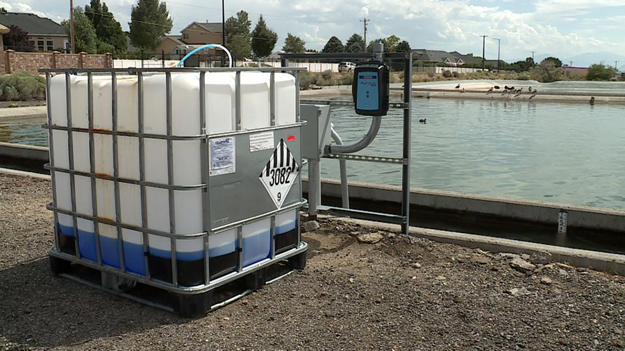 The pressurized irrigation system in Lehi has been found to contain E. coli with a dozen confirmed cases.