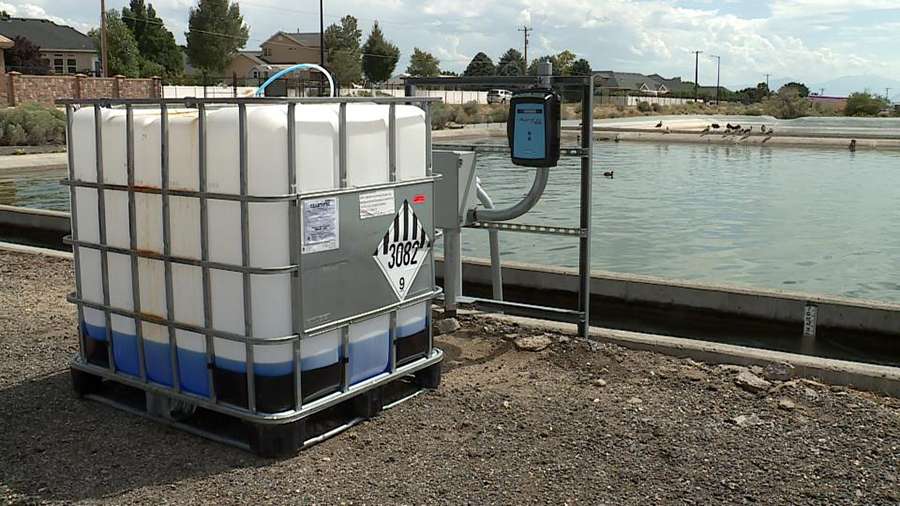 The pressurized irrigation system in Lehi has been found to contain E. coli with a dozen confirmed cases.