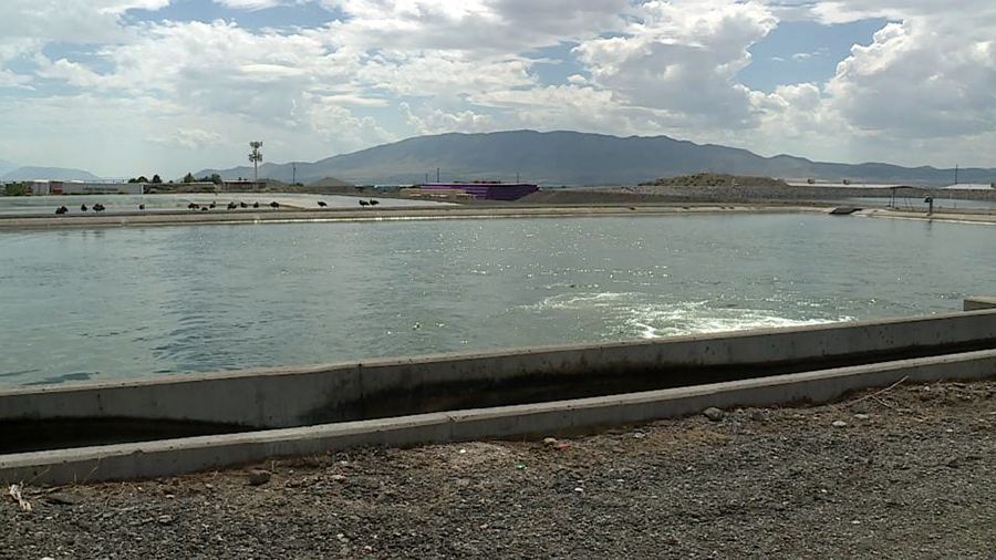 The pressurized irrigation system in Lehi has been found to contain E. coli with a dozen confirmed cases.