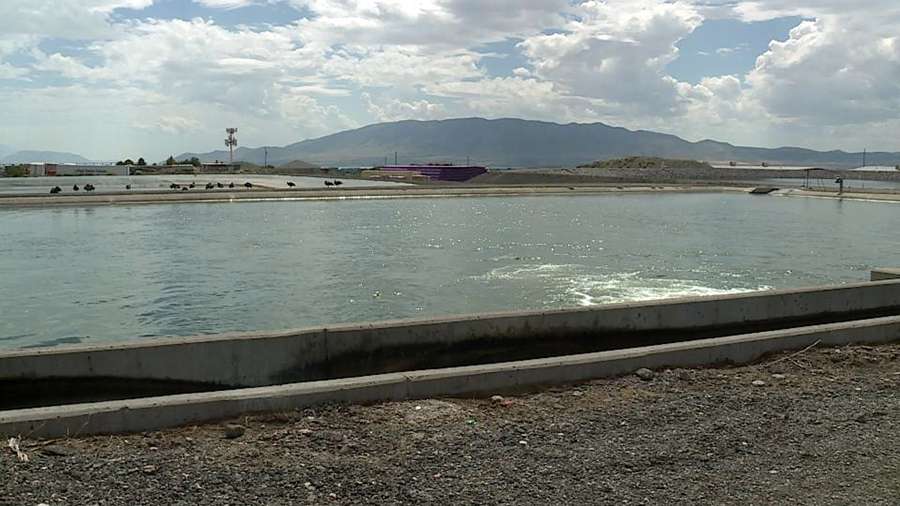 The pressurized irrigation system in Lehi has been found to contain E. coli with a dozen confirmed cases.