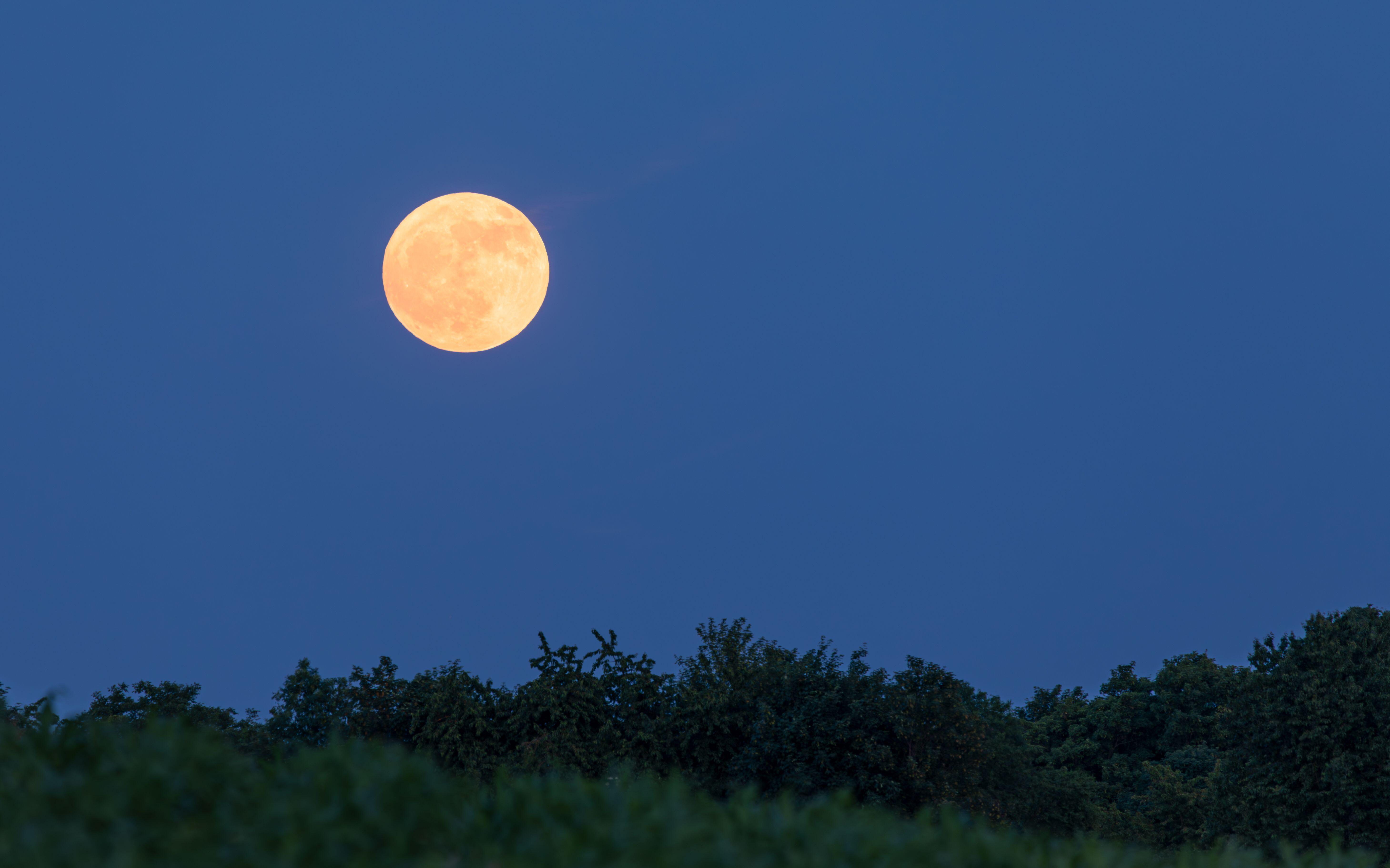 Rare blue supermoon could team up with Hurricane Idalia to raise tides