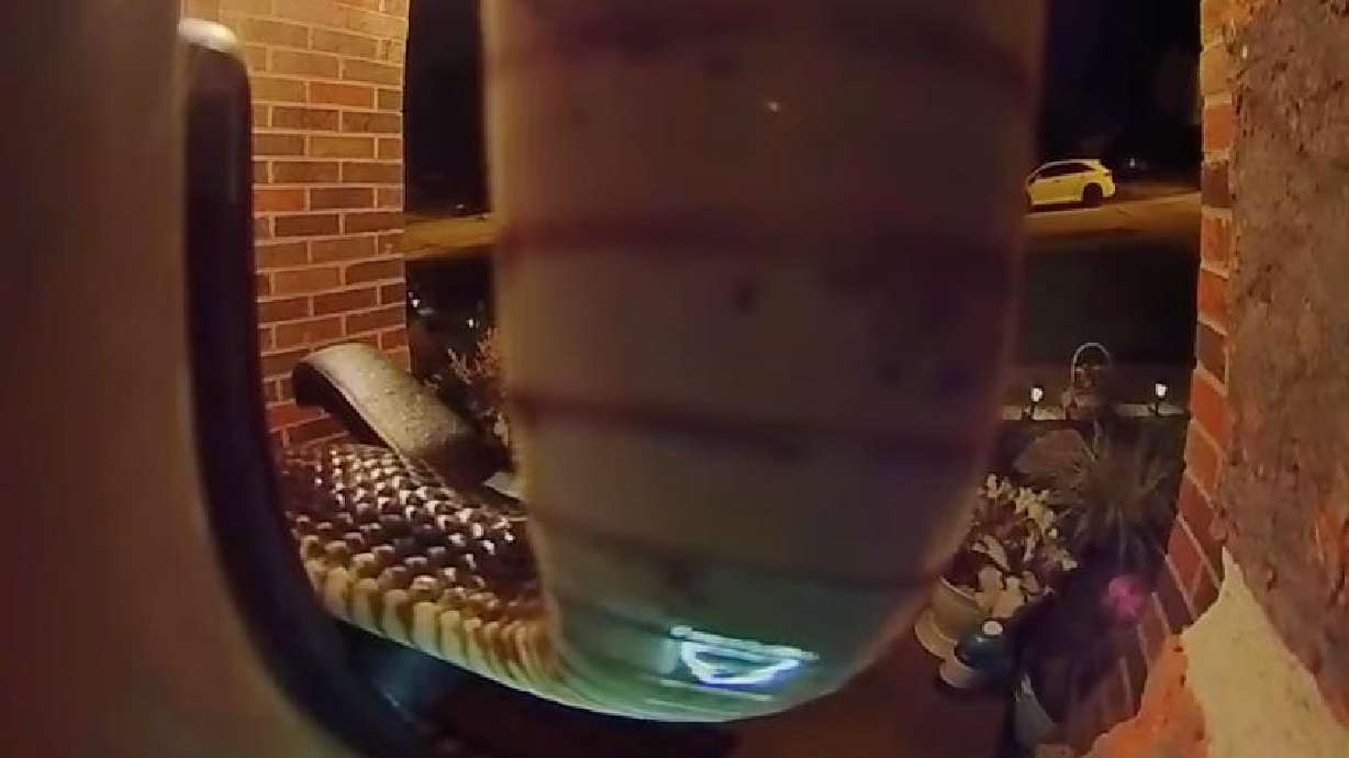 A snake makes its way across a doorbell cam in Covington, Kentucky, Aug. 7.