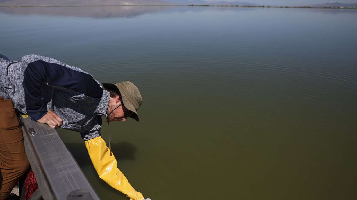 Cody Ellsworth, water quality technician for the Utah Division of Water Quality, collects a sample from Utah Lake on July 13. A lakewide algal bloom warning advisory is still in place heading into the Labor Day weekend.