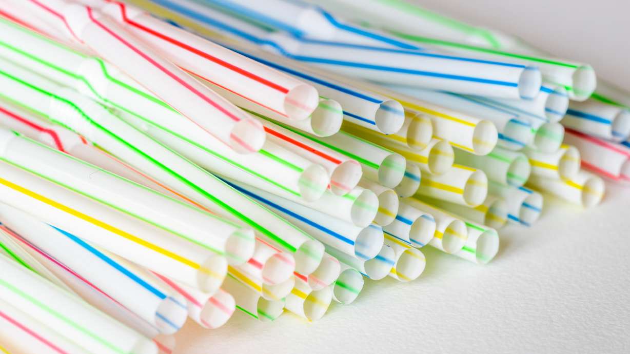 Despite well-meaning attempts to cause less harm to the environment, researchers found that paper straws are just as bad as plastic straws.