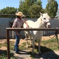 Heber City man to begin cross-country trip on horseback