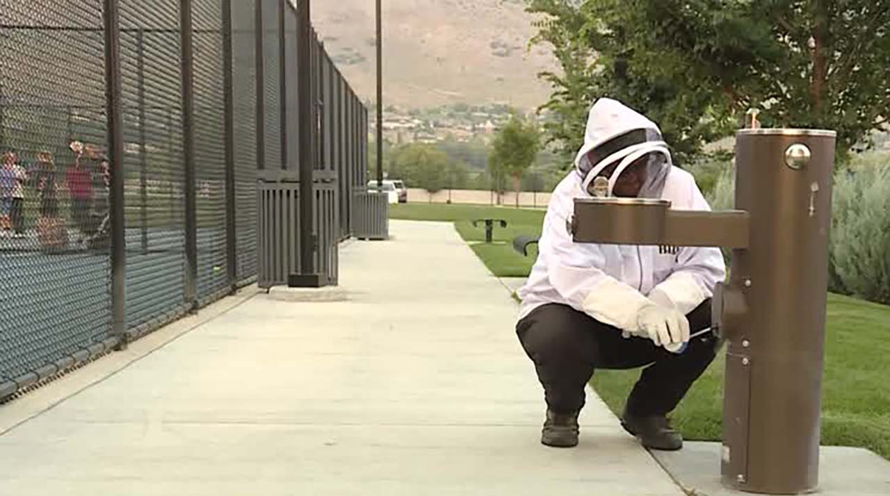 An exterminator works at Harvey Park in Cedar Hills on Wednesday. Parts of the park are temporarily closed due to wasps.