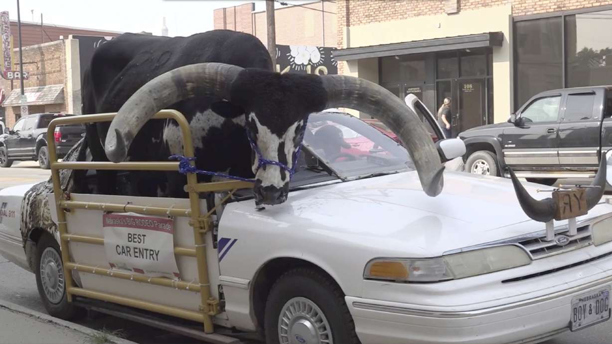 A Watusi bull named Howdy Doody sits in the passenger seat of a car owned by Lee Meyer on Wednesday. in Norfolk, Neb. The car has half the windshield and roof removed to make room for his bull to ride along.