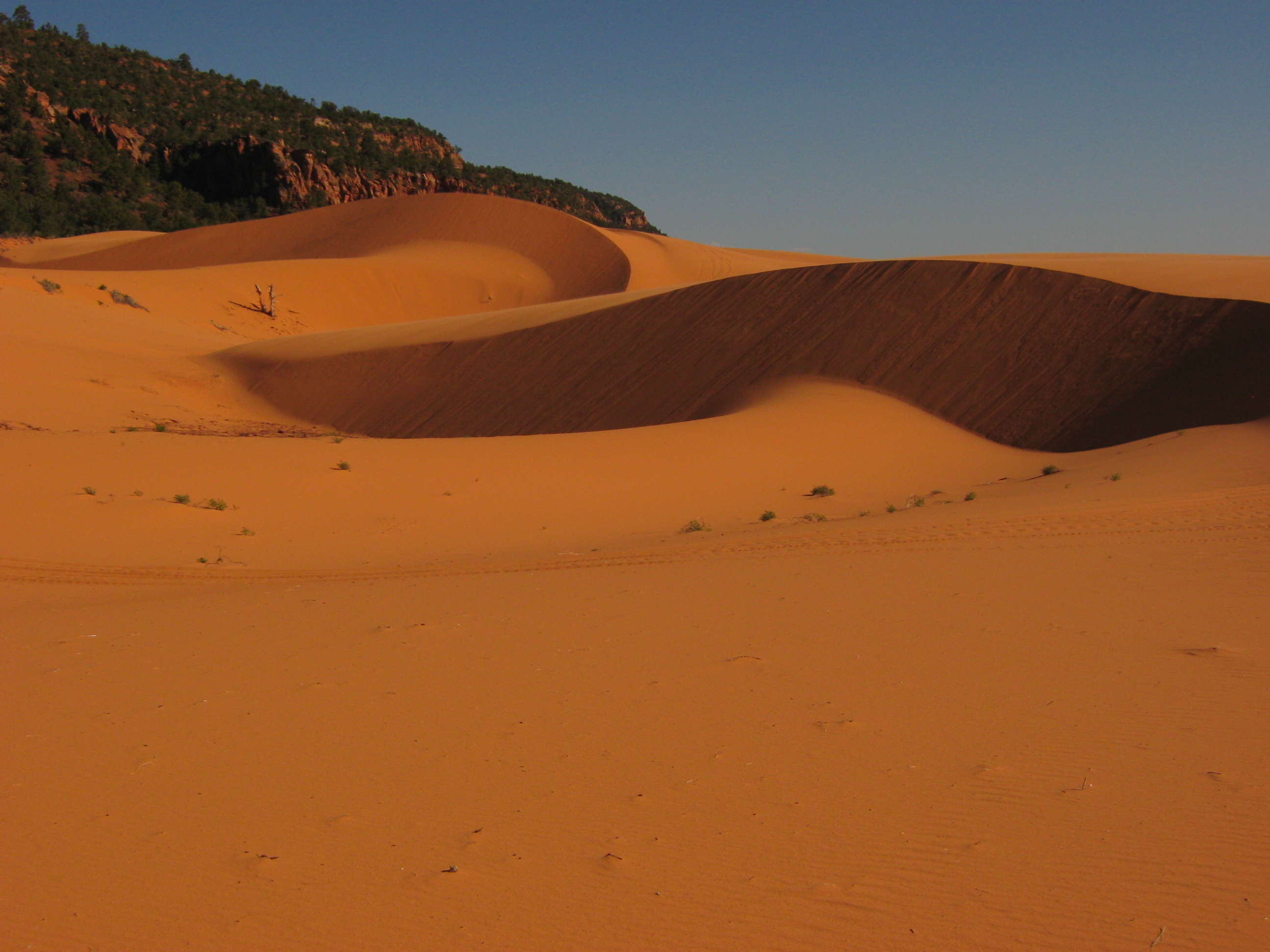 A 23-year-old Colorado man was killed in an ATV crash at Coral Pink Sand Dunes State Park near Kanab on Saturday.