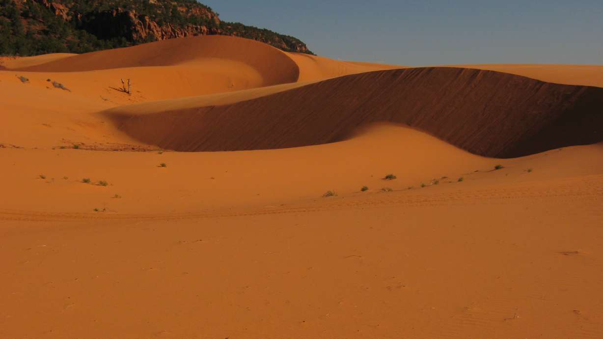 A 23-year-old Colorado man was killed in an ATV crash at Coral Pink Sand Dunes State Park near Kanab on Saturday.