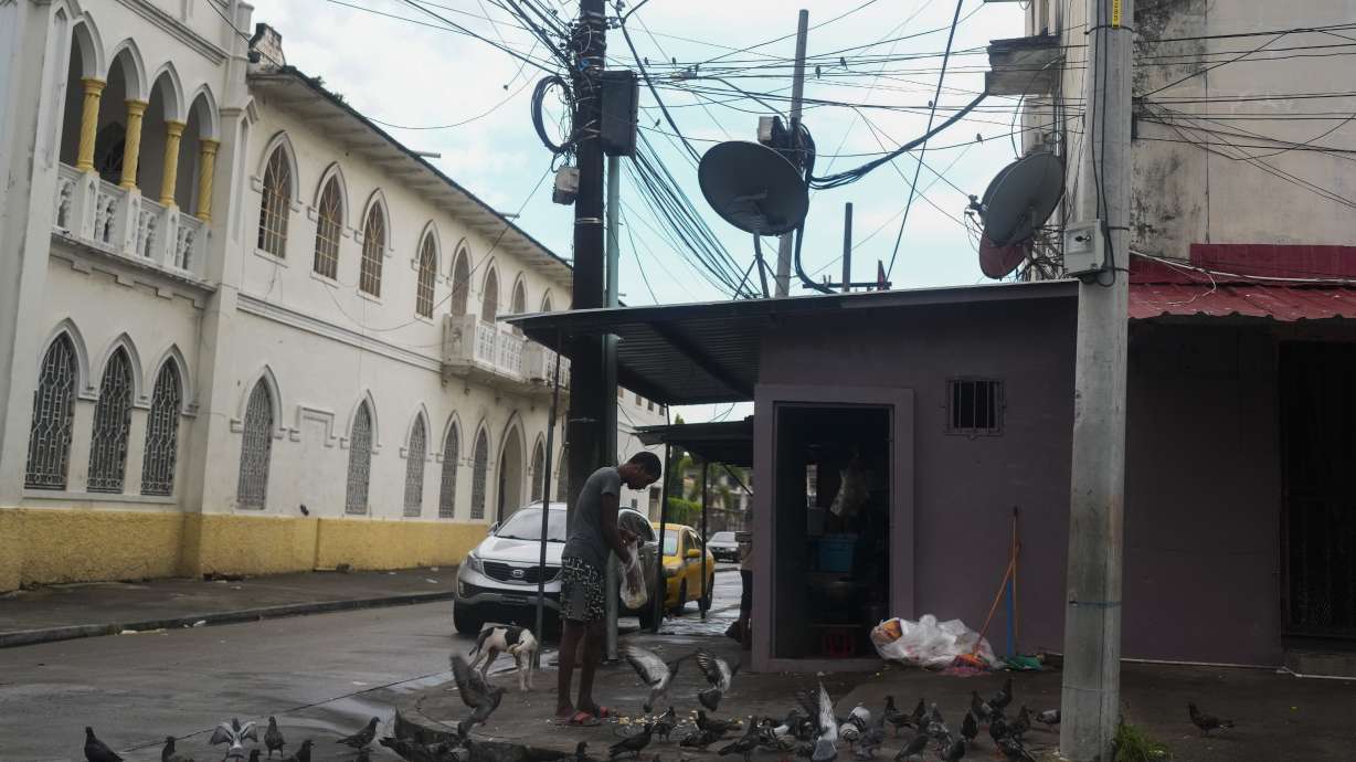 A man feeds pigeons on a street where Gilberto Hernandez, a member of Panama's national soccer team, was shot and killed in Colon, Panama, Monday, Sept. 4, 2023. Hernández was the second member of the national team killed in Colon in the past six years.