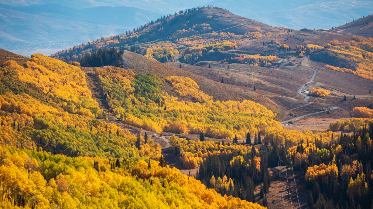 A view of the fall foliage from Guardsman Pass on Oct. 8, 2022. Experts say Utah's strong water year may delay when trees peak, but it could lead to more vibrant colors.