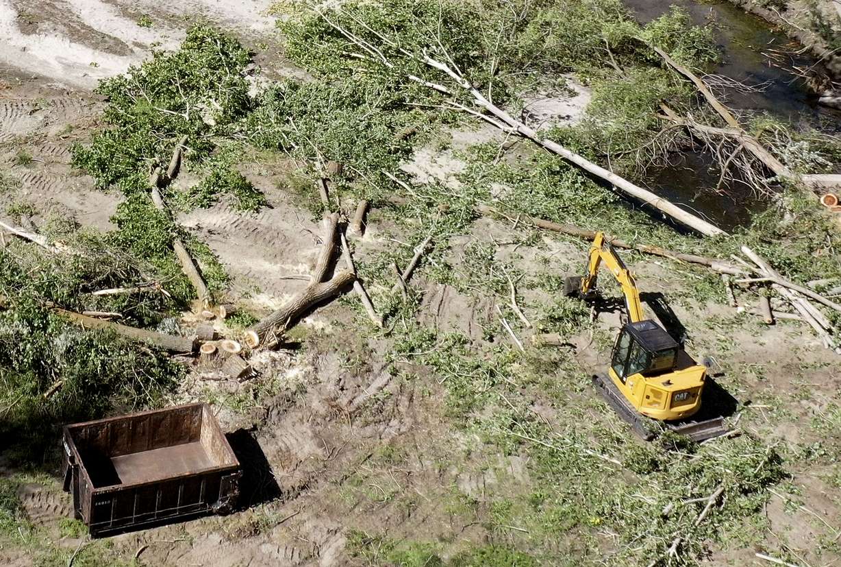 Downed trees and debris are cleared up along Cottonwood Creek at Wheeler Farm in Murray on Thursday.
