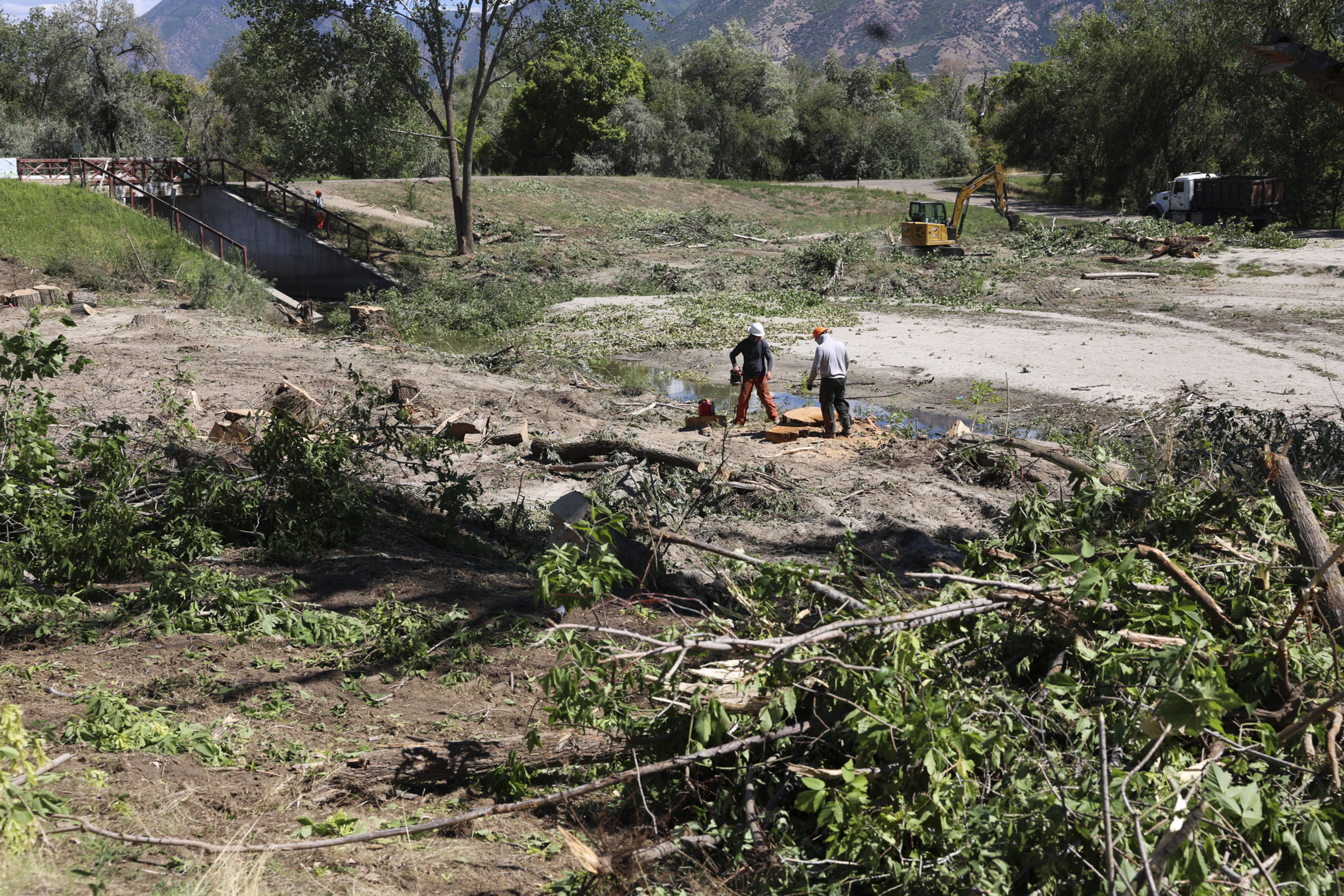 Downed trees and debris are cleared up along Cottonwood Creek at Wheeler Farm in Murray on Thursday. Salt Lake County Flood Control along with Utah Dam Safety identified 120 trees adjacent to Little Cottonwood Creek and in a detention basin that require removal to ensure the structural integrity of the dam embankment, to improve emergency water runoff management and to
revitalize the stream bank.