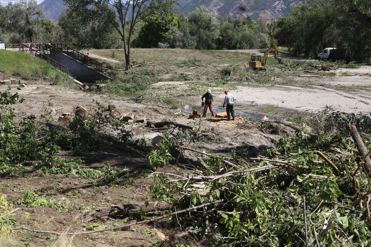 Downed trees and debris are cleared up along Cottonwood Creek at Wheeler Farm in Murray on Thursday. Salt Lake County Flood Control along with Utah Dam Safety identified 120 trees adjacent to Little Cottonwood Creek and in a detention basin that require removal to ensure the structural integrity of the dam embankment, to improve emergency water runoff management and to
revitalize the stream bank.