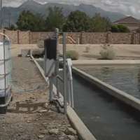 Lehi reports no new E. coli cases, reduced counts of bacteria in irrigation water