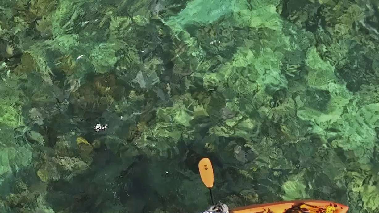 In this photo provided by the Florida Keys News Bureau, a swimmer escorted by a kayaker, competes in the Swim for Alligator Lighthouse open-water challenge Saturday, Sept. 9, 2023, off Islamorada, Fla., in the Florida Keys. The 8-mile roundtrip race attracted almost 400 swimmers divided into categories including solo and two-, three- and four-person relay teams. The annual event helps raise funds to restore Alligator Reef Lighthouse, one of six aging Florida Keys lighthouses, that are some 150 years old and no longer needed for navigation. The beacon is named for the USS Alligator, a U.S. Navy schooner that ran aground and sank on the reef in 1822.