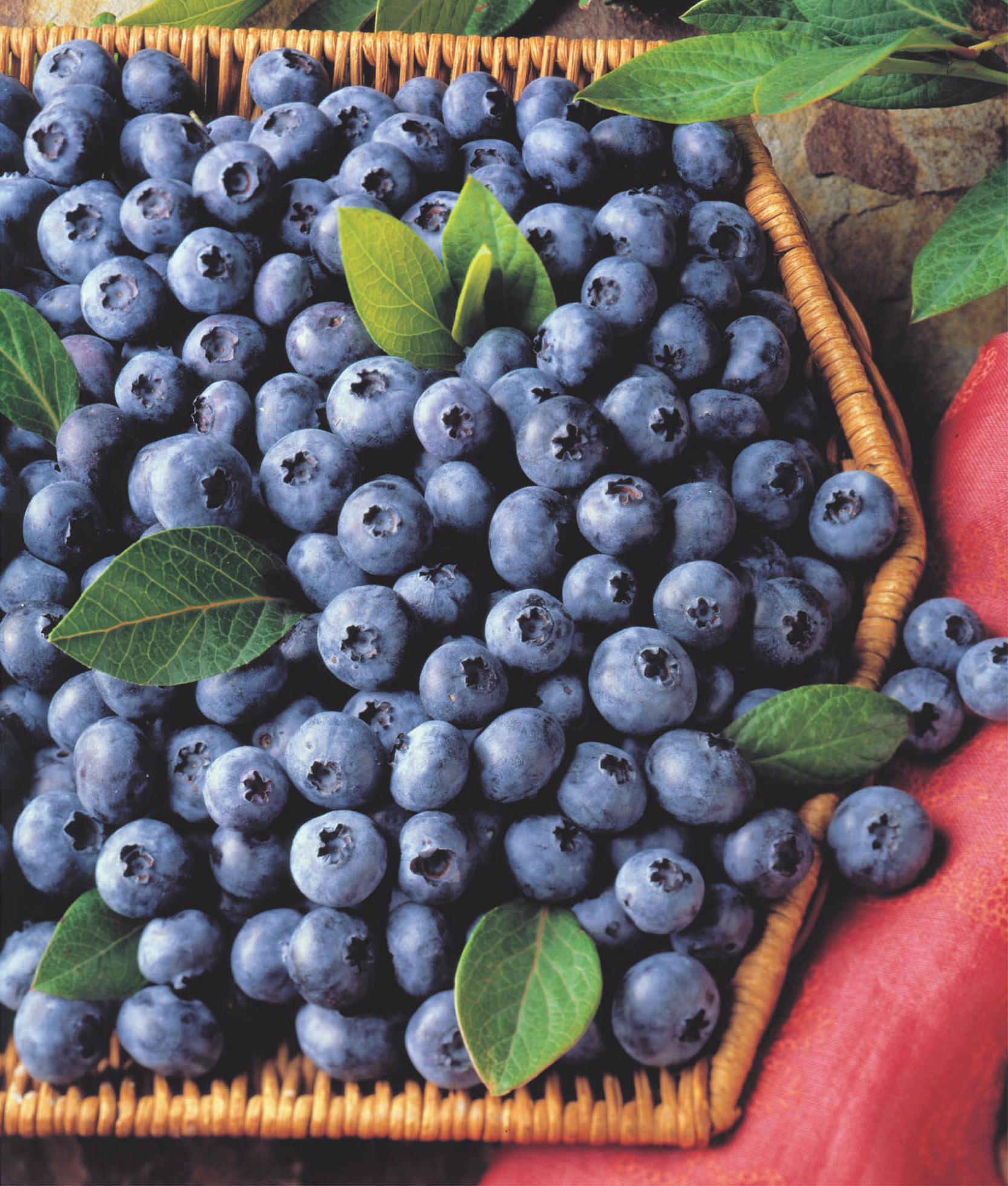 Blueberries, salmon and other foods can naturally help relieve feelings of anxiety and depression.
