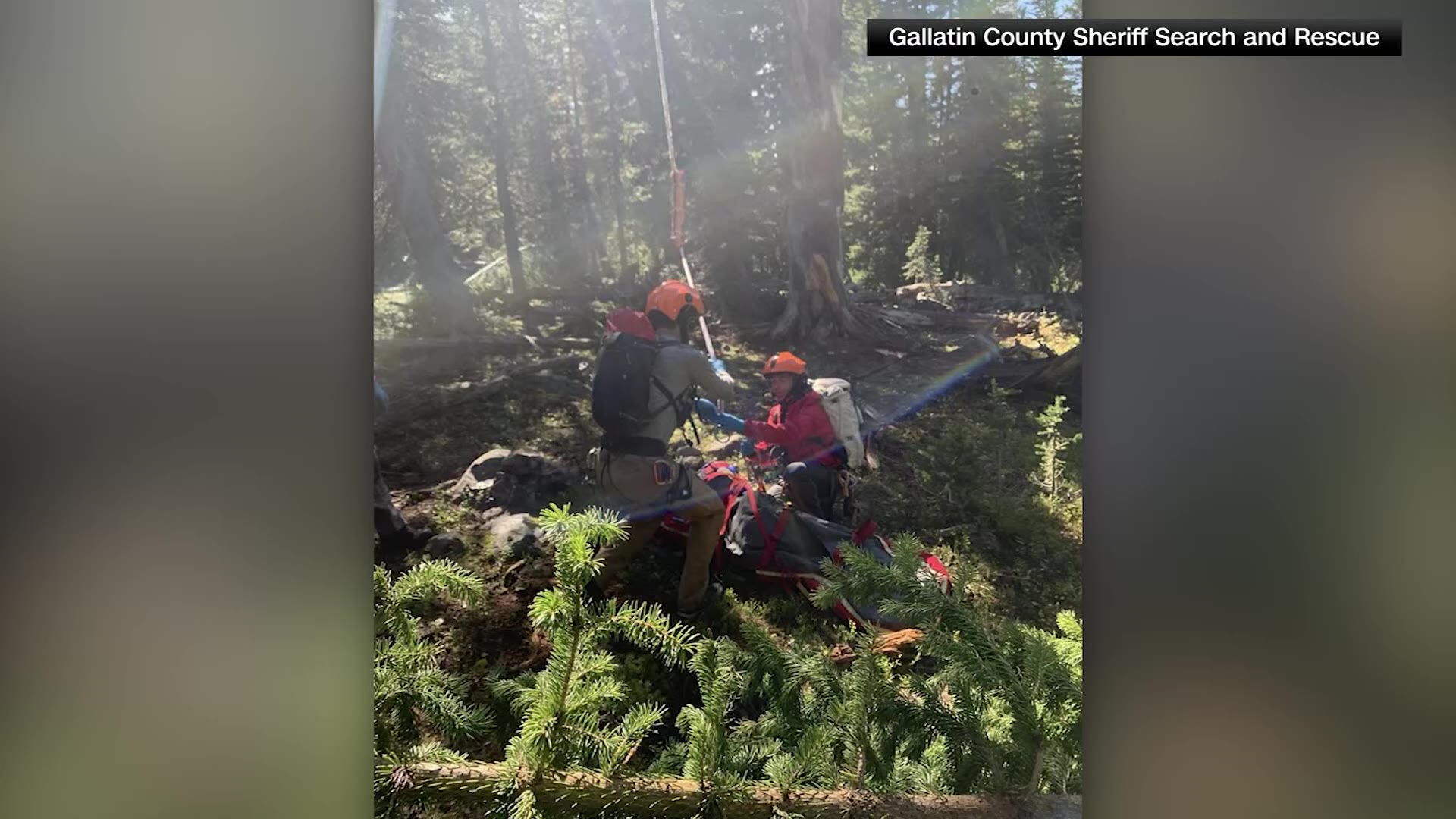 Search and rescue crews in Montana transport Rudy Noorlander to a local hospital after he was attacked by a bear Friday.