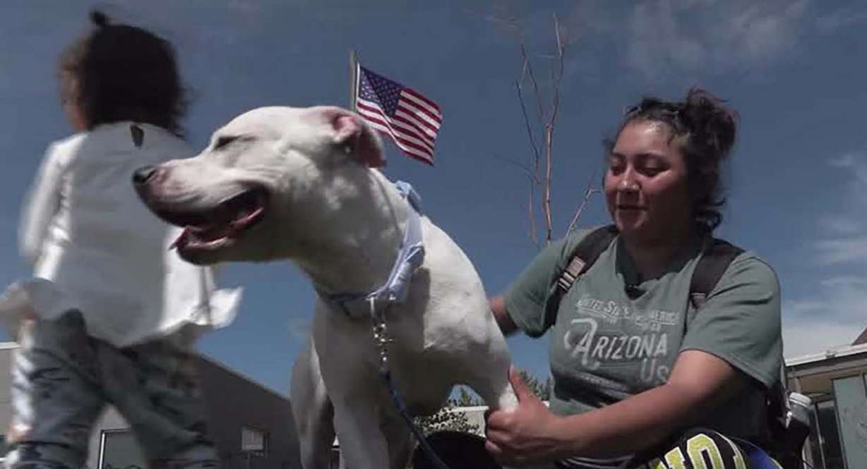 Chloe Monzalvo adopts Ace, a white pit bull mix, at the Weber County Animal Shelter Tuesday. Shelter officials say they will have no choice but to euthanize potentially more than a dozen dogs if they aren't adopted by the end of the month.