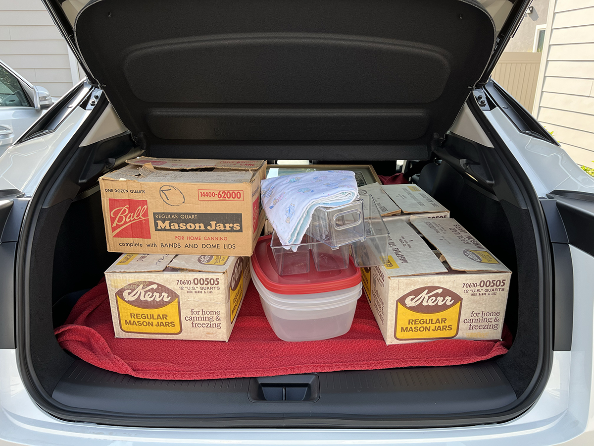 The electric ride: Reviewing Nissan's completely electric crossover