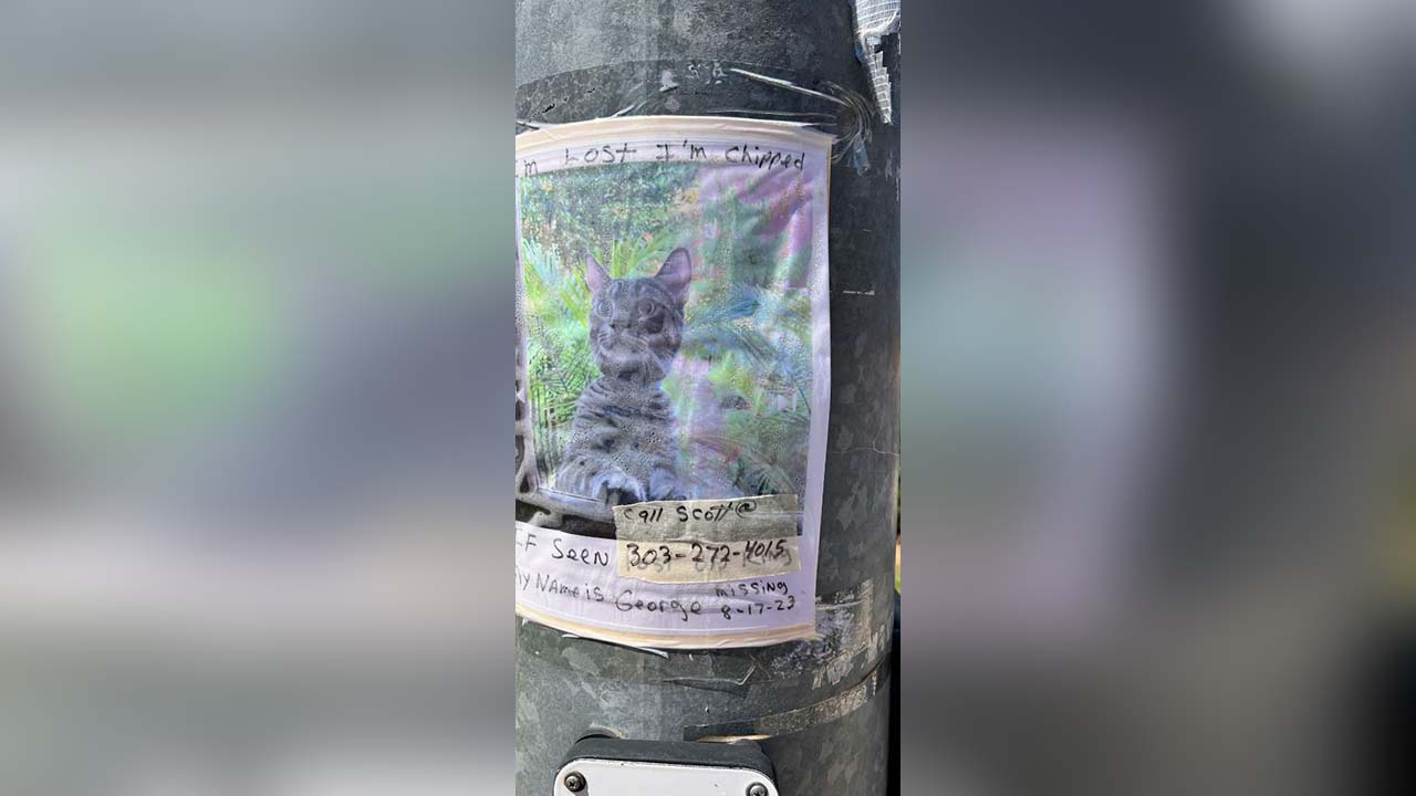 Pet owner Scott Donnachie asked for help to find his missing cat. St. George police believe scammers may have gotten Donnachie's contact info from his social media posts about his cat.