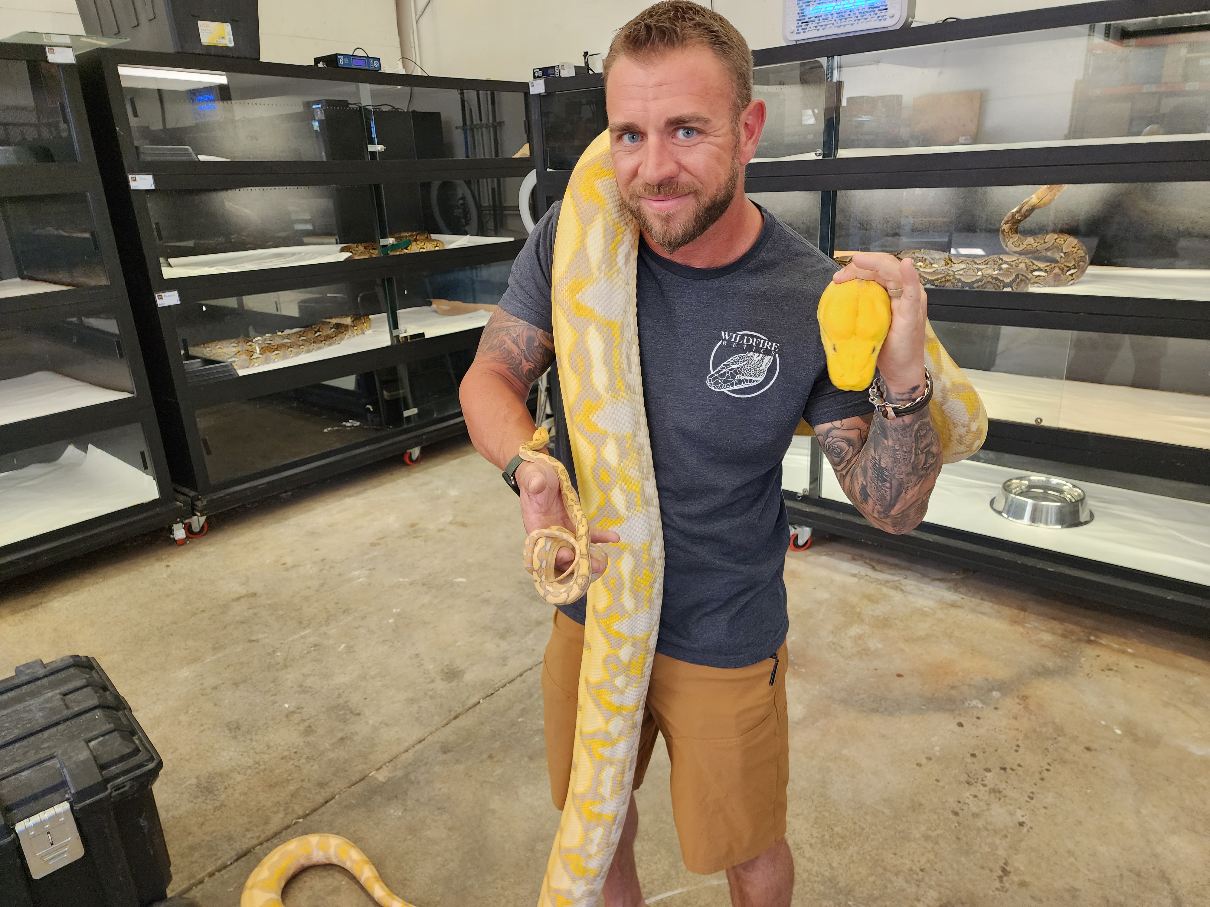 Weston Wenner holding both an adult reticulated python and a neonate for size comparison, at Wildfire Retics in Park City.