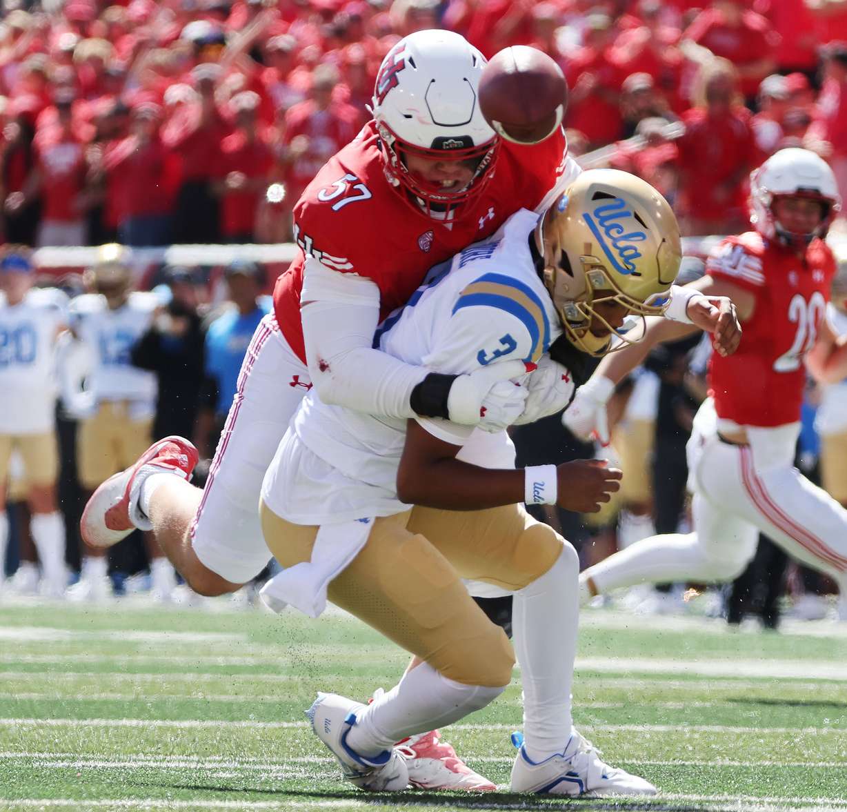 Utah Utes defensive tackle Keanu Tanuvasa (57) sacks UCLA Bruins quarterback Dante Moore (3) causing a fumble in Salt Lake City on Saturday, Sept. 23, 2023.