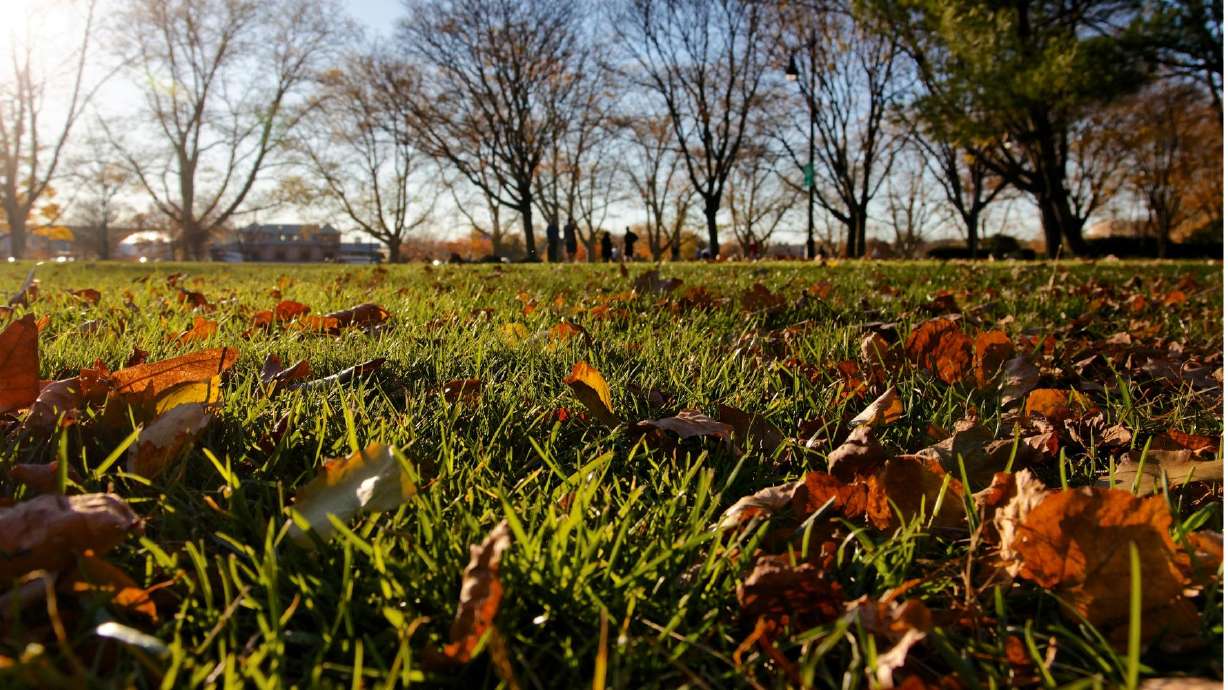 3 reasons you probably don't need to water in October