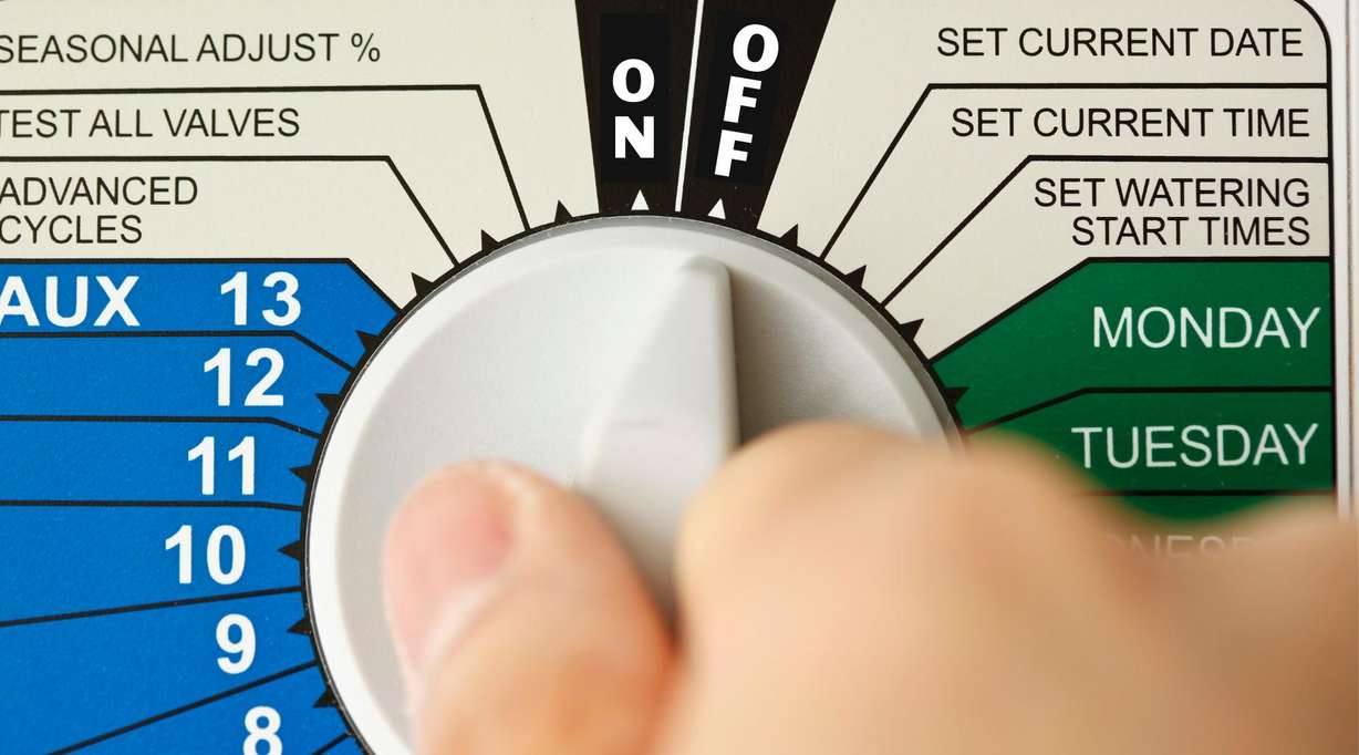 3 reasons you probably don't need to water in October