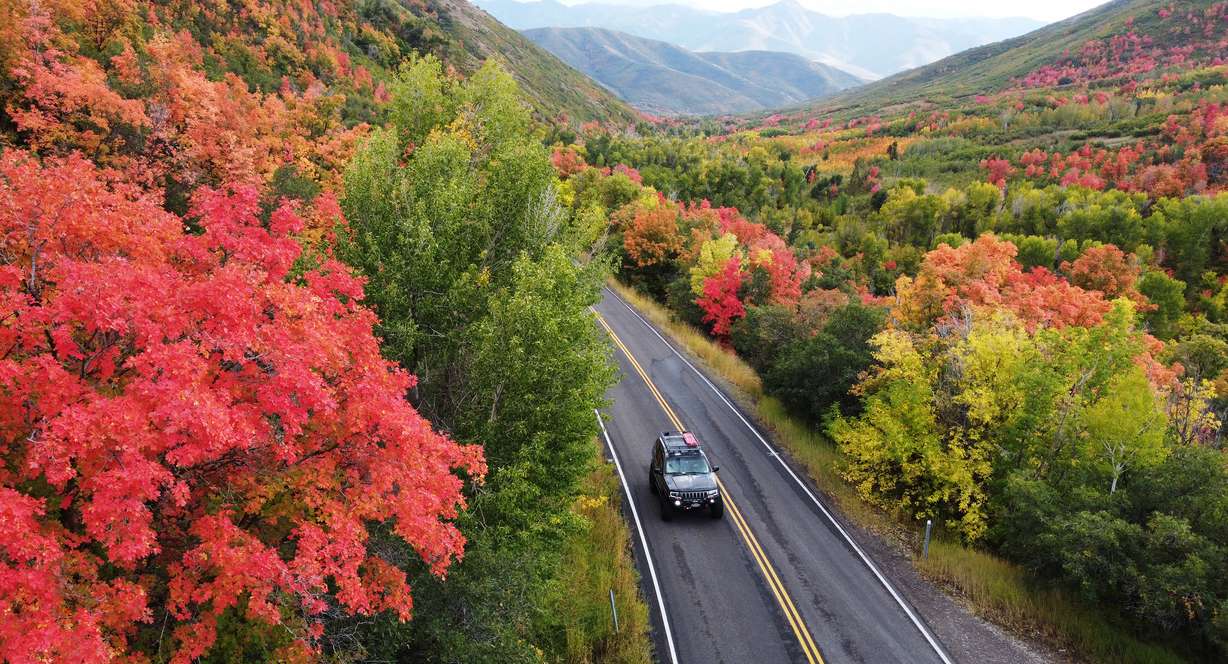 Fall colors in East Canyon on Sept. 22, 2023.