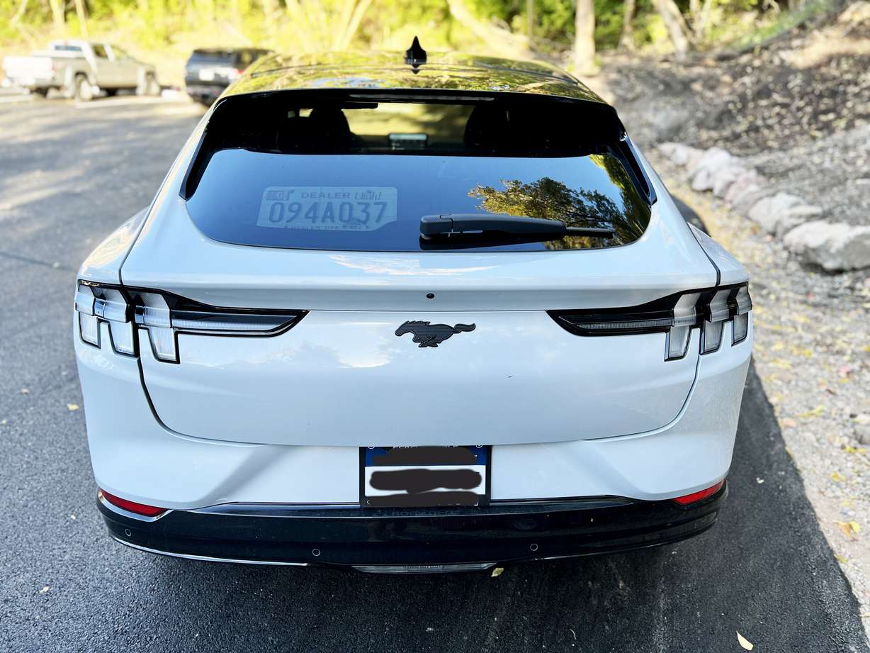 Test Drive: The Mustang Mach-E will make a believer out of you