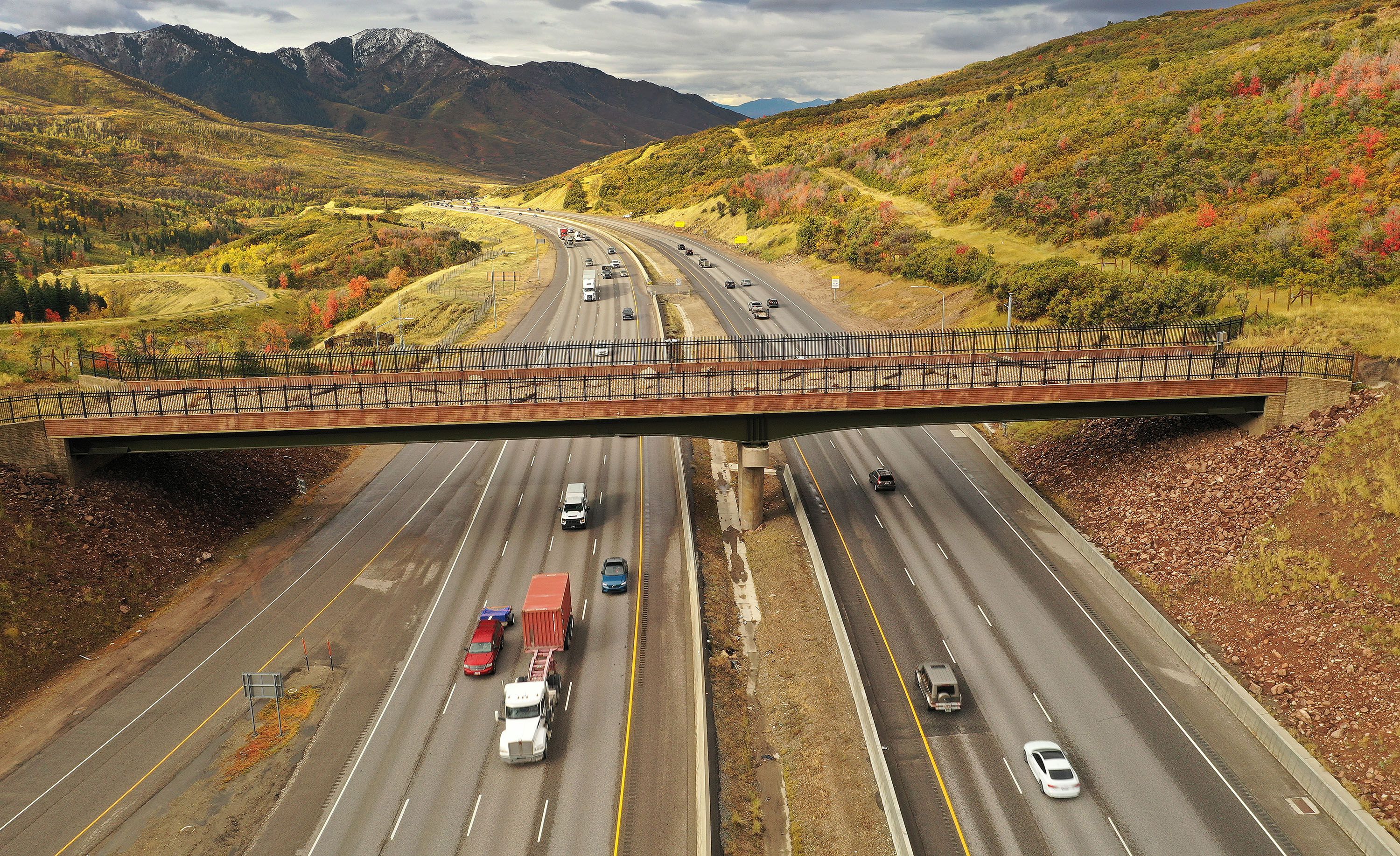 Motorists travel under a wildlife crossing bridge spanning I-80 in Parleys Canyon on Tuesday. A recent report examining vehicle collisions with wildlife in 11 states says damages total $1.6 billion a year.