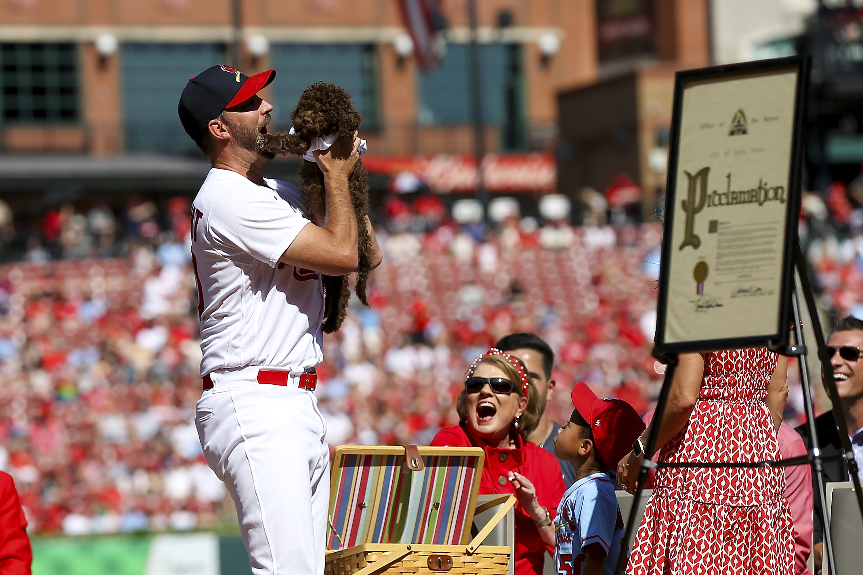 Video: Benches clear during Diamondbacks-Cardinals game - NBC Sports