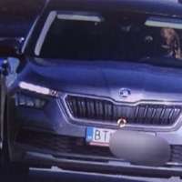 Have You Seen This? Driving dog caught speeding; owner cited