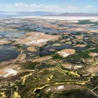 Some groups think the inland port's newly proposed wetlands policy doesn't do enough
