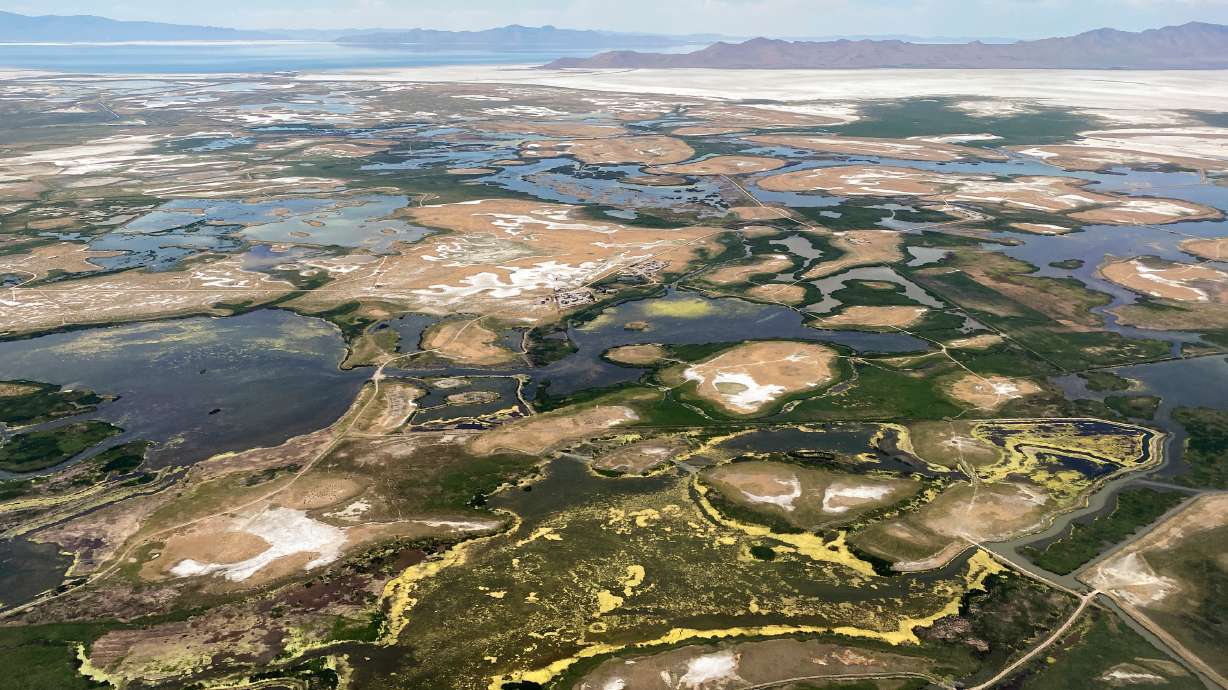 Wetlands are pictured to the south and east of Antelope Island Sunday, July 2.