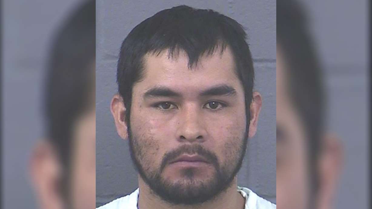 Gustavo Gonzalez-Palacios was arrested Oct. 8 after he allegedly led deputies on a low-speed chase while driving a stolen tractor.