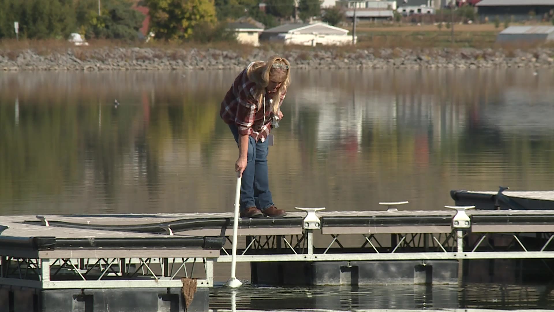 Hundreds of dead fish were found floating in the Mantua Reservoir in Box Elder County. Wildlife officials are investigating how it happened.