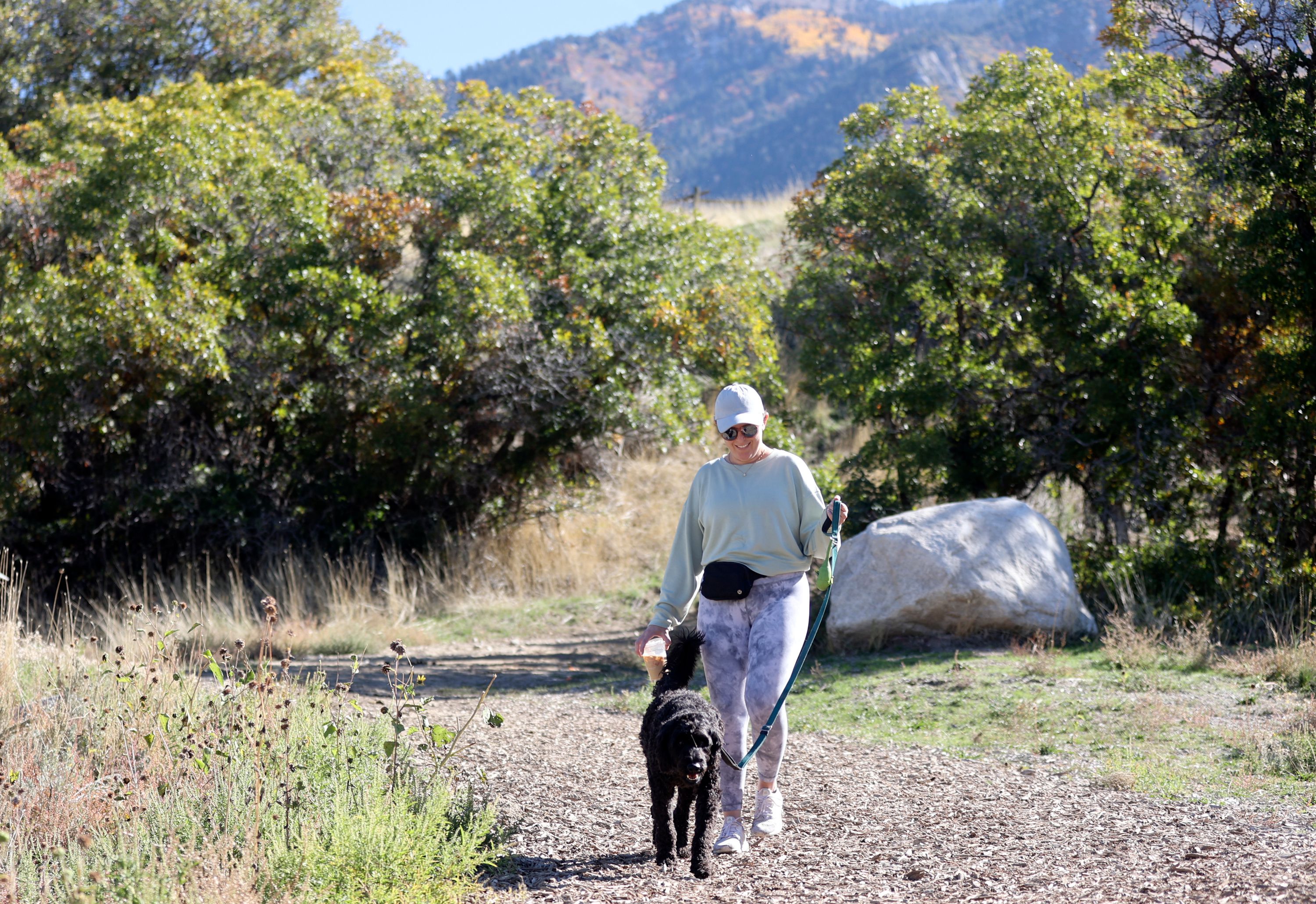 Elana Dawson walks with her dog Hank in Dimple Dell Regional Park in Sandy on Monday. Social media channels are increasingly populated with posts about coyote sightings.