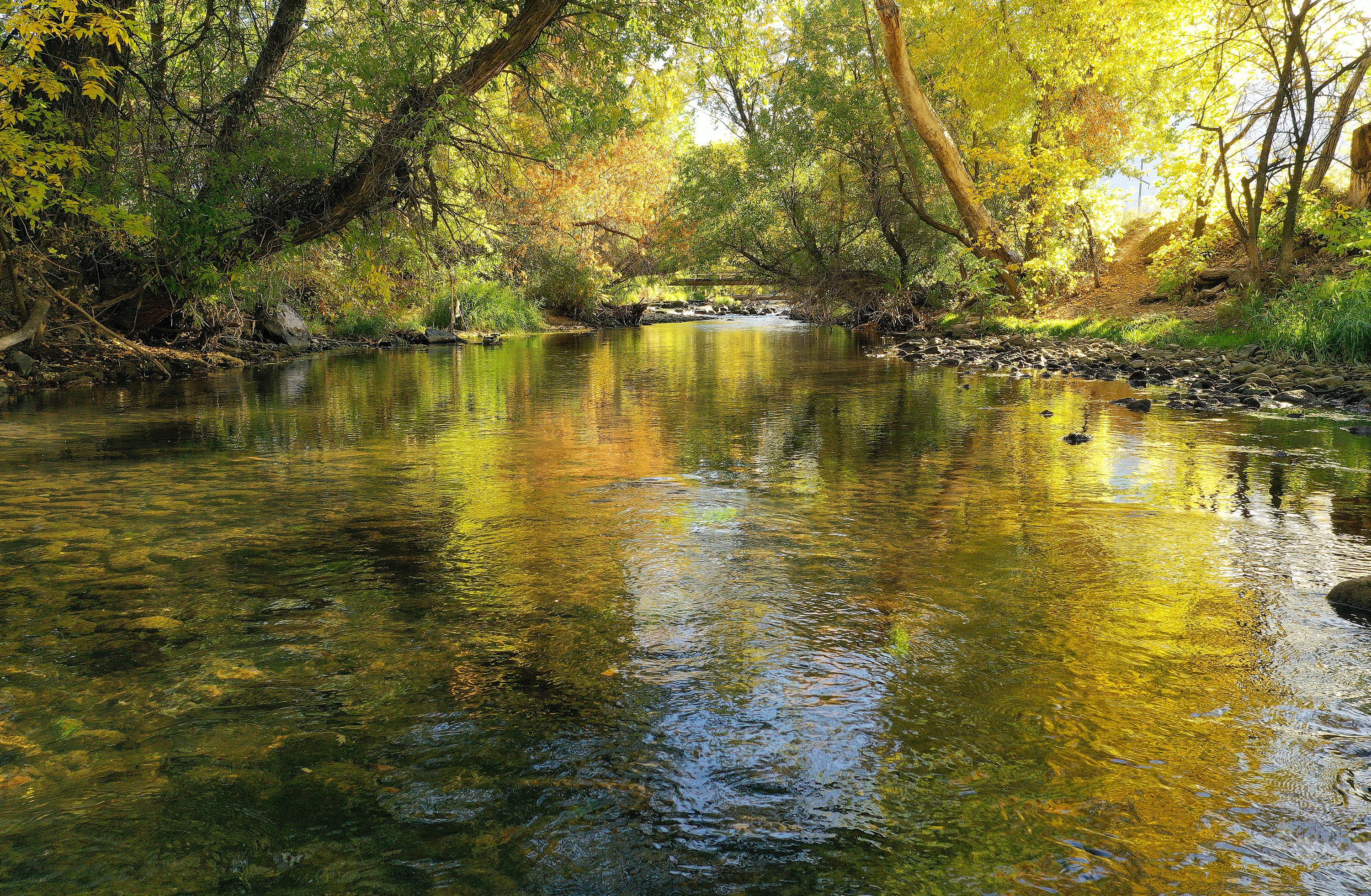 The fall colors reflect in the Ogden River in Ogden on Tuesday. Legislative discussions are underway to protect riparian corridors as part of county and city plans.