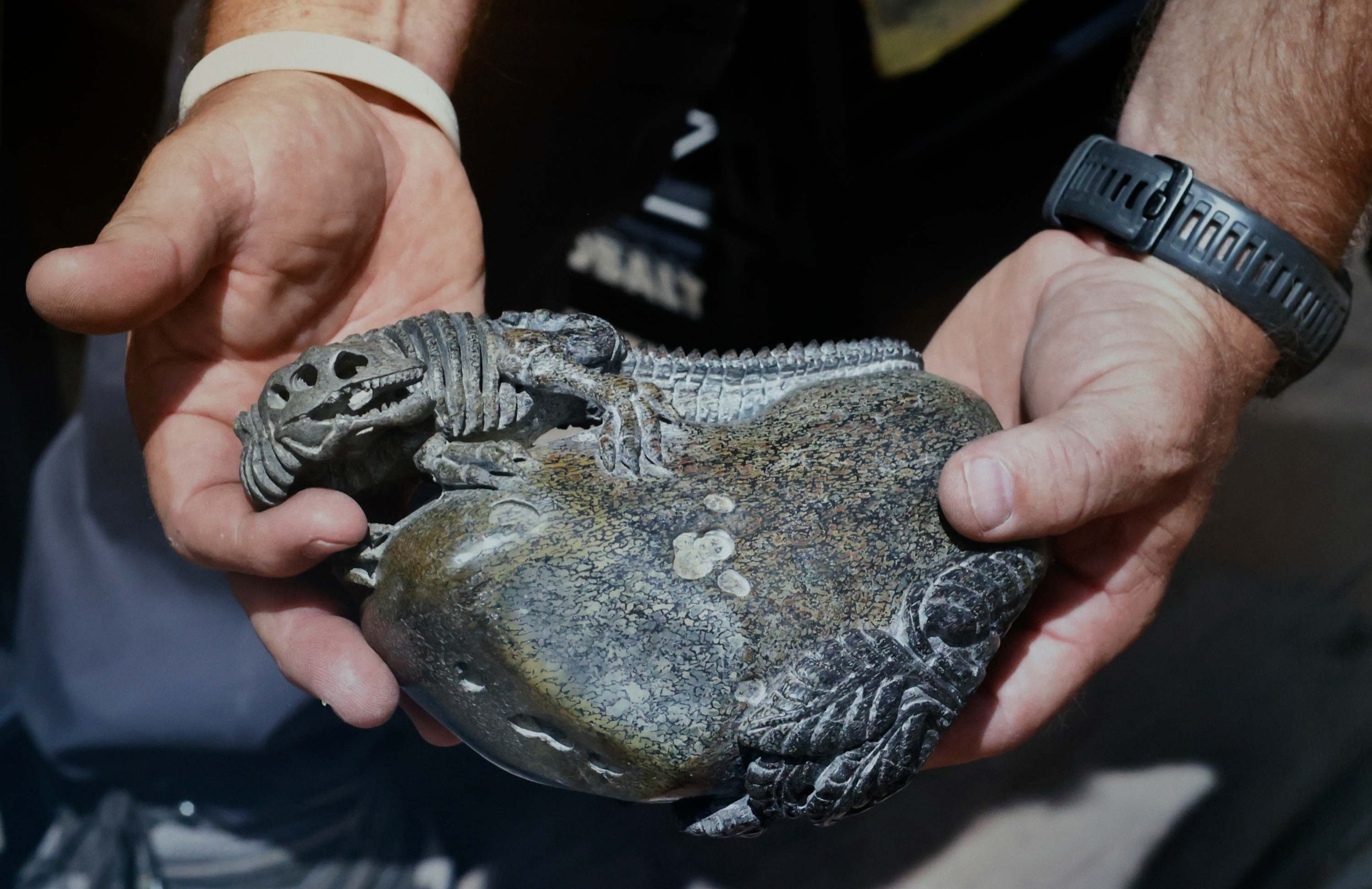 Stolen paleontological resources are pictured in a photo that is on display during a press conference to announce charges in a stolen dinosaur bones case at the U.S. Attorney’s Office in Salt Lake City on Thursday.