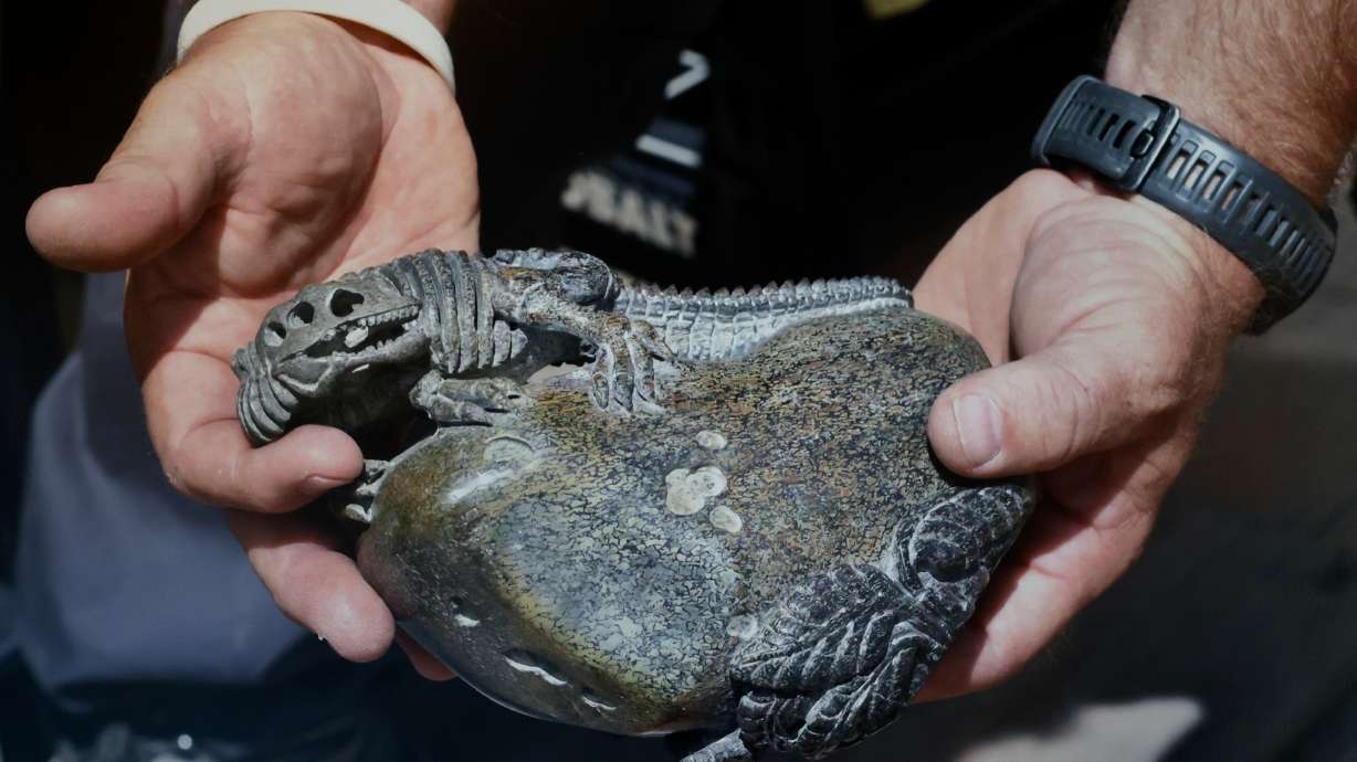 Stolen paleontological resources are pictured in a photo that is on display during a press conference to announce charges in a stolen dinosaur bones case at the U.S. Attorney’s Office in Salt Lake City on Thursday.